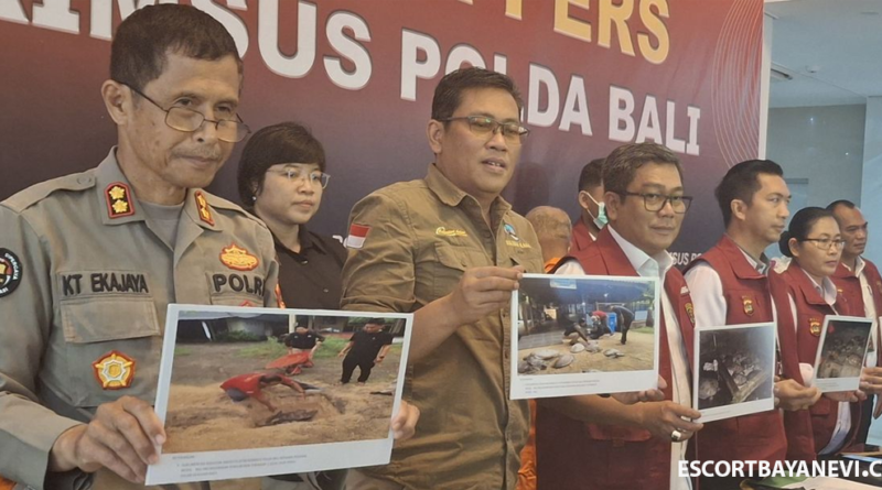 Kasus penyelundupan 13 Ekor Penyu Hijau dari NTB