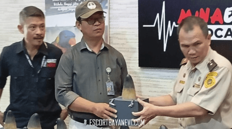 WN Tiongkok Selundupkan Satwa Dilindungi di Manado, 12 Taring Harimau Diamankan